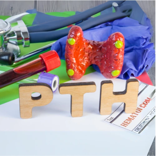Imagen de: H. PARATIROIDEA (PTH)