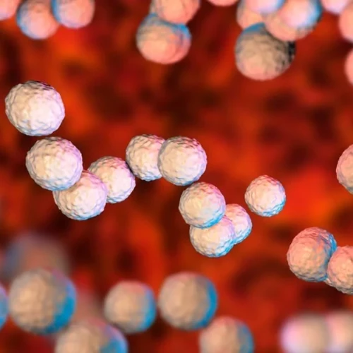 Imagen de: ANTIESTREPTOLISINAS