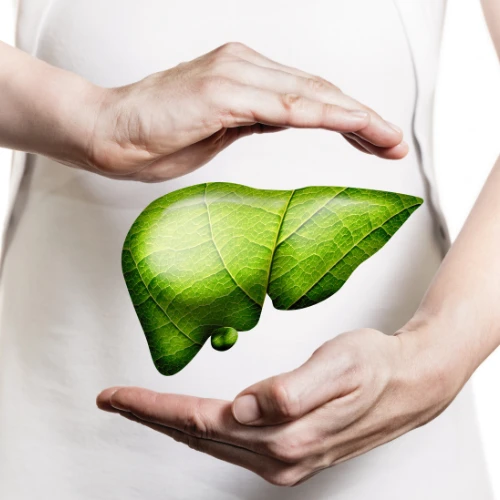 Imagen de: GLOBULINAS, PROTEÍNAS TOTALES, ALBÚMINA, TGO, TGP, F.ALC, LDH, GGT, RELACIÓN A/G, BILIRRUBINA