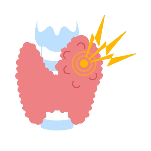 Imagen de: H. ESTIMULANTE DE TIROIDES (TSH)